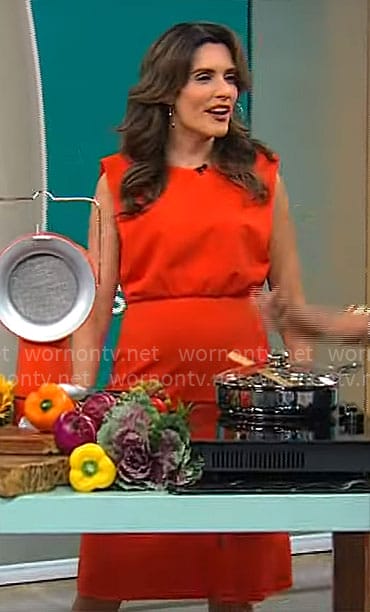 Adriane Kiss' red sleeveless dress on CBS Mornings