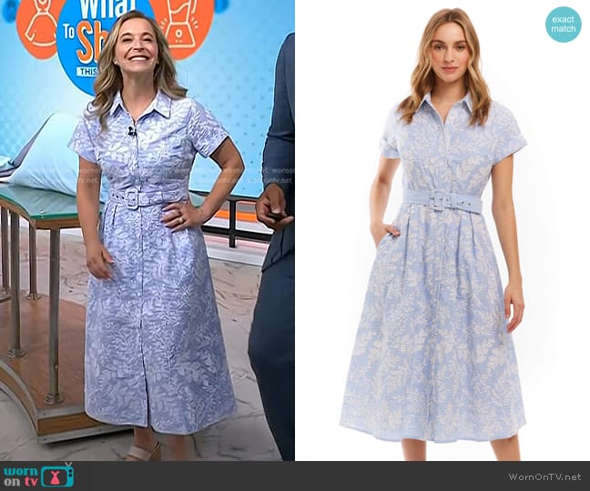 Allison NY Aiden Dress in Blue/White worn by Jenn Falik on Today