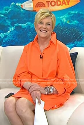 Anne's orange shirtdress on Today