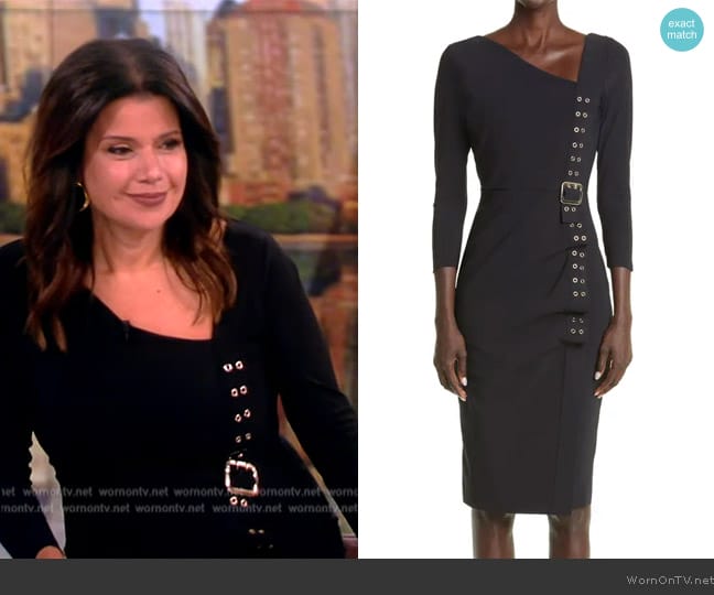 Ciara Boni La Petite Robe Cibeles Three Quarter Sleeve Sheath Dress worn by Ana Navarro on The View