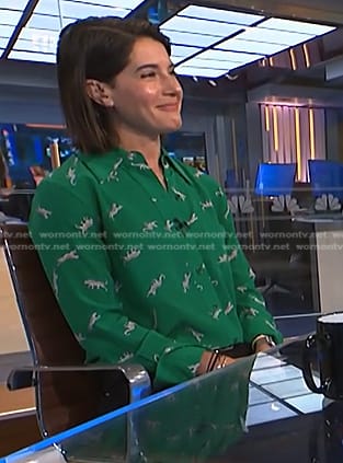 Daryn Carp's green cheetah print shirt on NBC News Daily