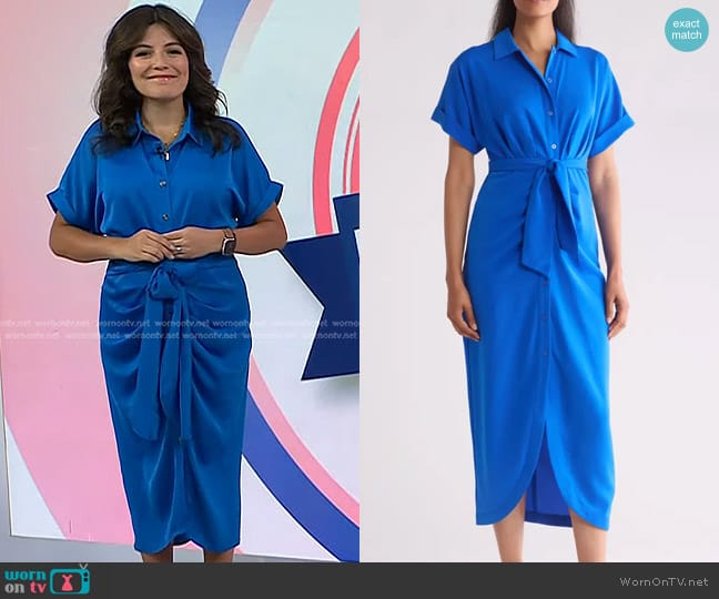 DKNY Ruched Detail Shirtdress in Submerge worn by Adrianna Barrionuevo Brach on Today