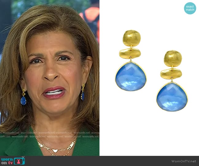 Jennifer Miller Tanzanite Drop Earrings worn by Hoda Kotb on Today