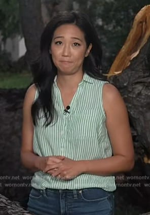 Kathy Park's green stripe sleeveless top on Today