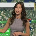 Lindsay Tuchman’s grey plaid ruffle dress on Good Morning America