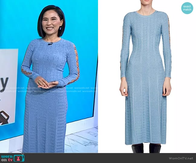 Sandro Saje Embellished Sleeve Dress in Sky Blue worn by Vicky Nguyen on Today