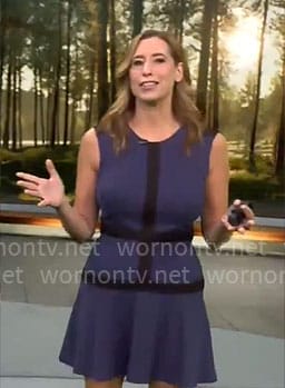 Stephanie Abrams' navy dress with black stripes on CBS Mornings