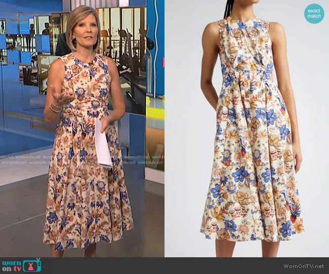 Ulla Johnson Kaiya Print Sleeveless Dress in Magnolia worn by Kate Snow on NBC News Daily