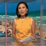 Vicky’s yellow sleeveless dress on NBC News Daily