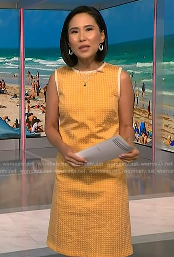 Vicky's yellow sleeveless dress on NBC News Daily