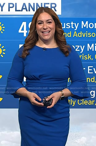 Violeta Yas's blue bell sleeve dress on Today