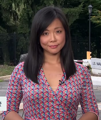 Weijia Jiang’s geometric print wrap dress on CBS Evening News