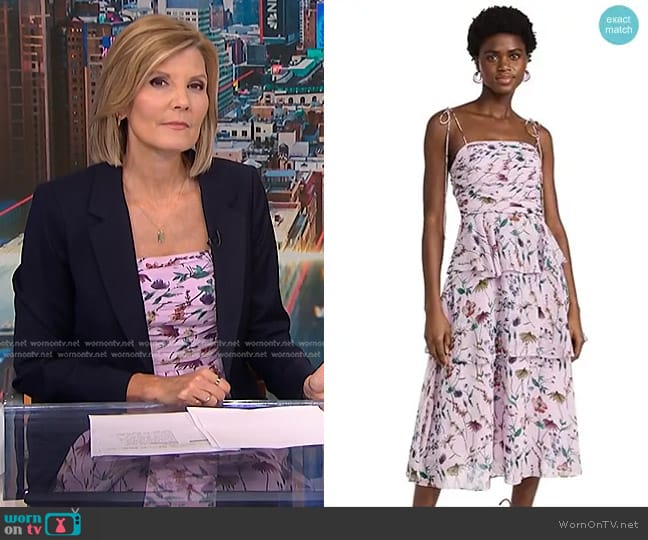 Amur Acacia Tie Strap Ruffle Dress worn by Kate Snow on NBC News Daily