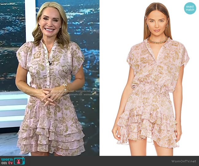 Misa Los Angeles Evie Dress in Rose Paisley worn by Andrea Canning on Today