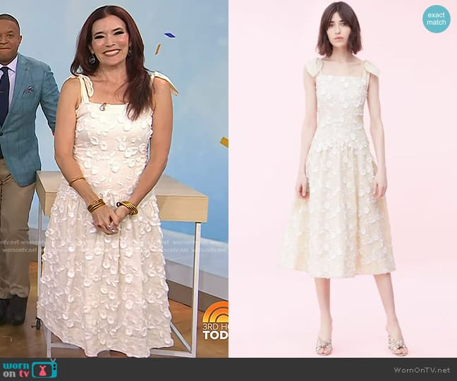 Rebecca Taylor Nicola Embroidered Dress in Cream worn by Amy E. Goodman on Today