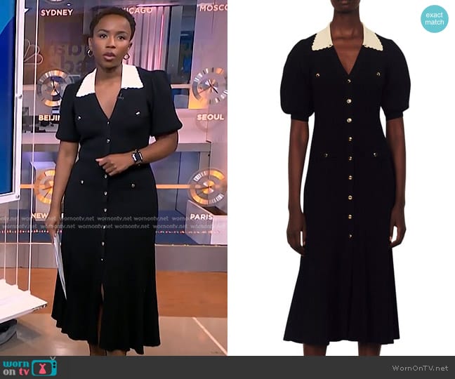 Sandro Lauralie Short Sleeve Shirtdress worn by Zinhle Essamuah on NBC News Daily