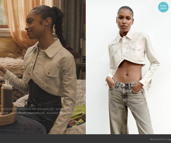 Zara Cropped Jacket worn by Ashley Banks (Akira Akbar) on Bel-Air