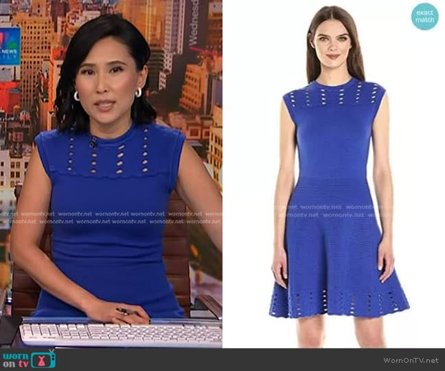 Ted Baker Zaralie Jacquard Panel Skater Dress worn by Vicky Nguyen on NBC News Daily