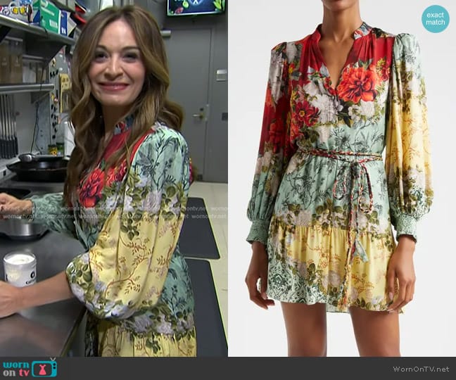 Alice + Olivia  Antonette Dress in Oakley worn by Anna Francese Gass on Today