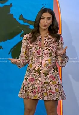 Angie Lassman's pink floral shirtdress on Today