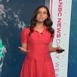 Angie Lassman’s pink polka dot dress on NBC News Daily