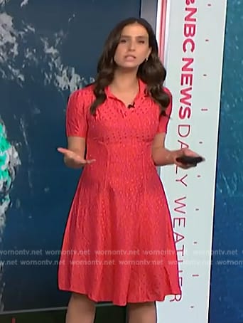 Angie Lassman's pink polka dot dress on NBC News Daily