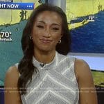 Brittany’s grey chevron striped dress on Good Morning America