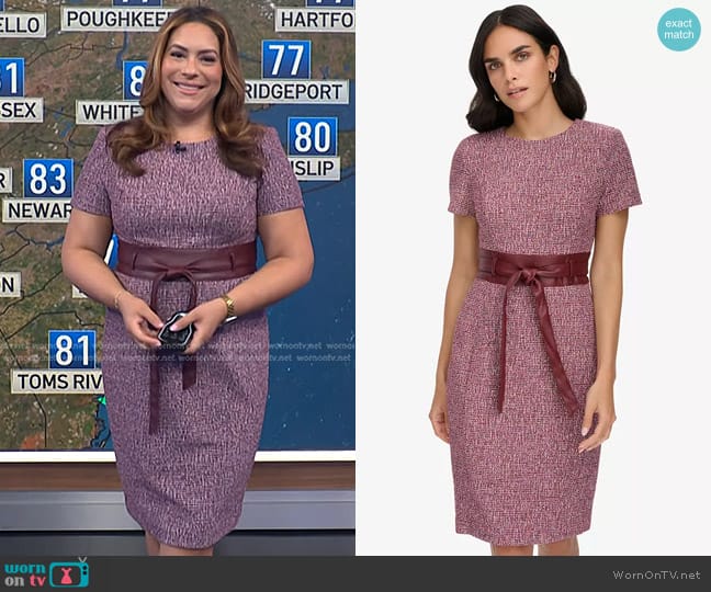 Calvin Klein Short-Sleeve Belted Sheath Dress in Rosewood M worn by Violeta Yas on NBC News Daily