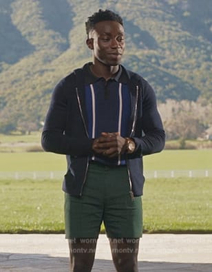 Carlton’s blue stripe polo on Bel-Air