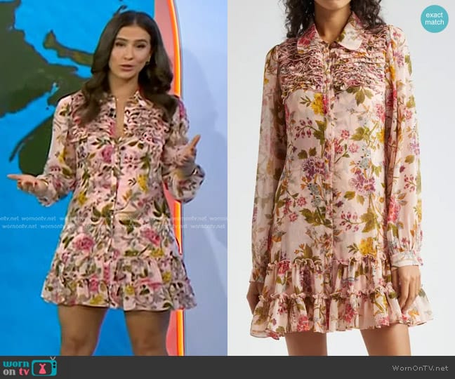 Cinq a Sept Barnes Floral Mini Shirtdress in Soft Pink Multi worn by Angie Lassman on Today