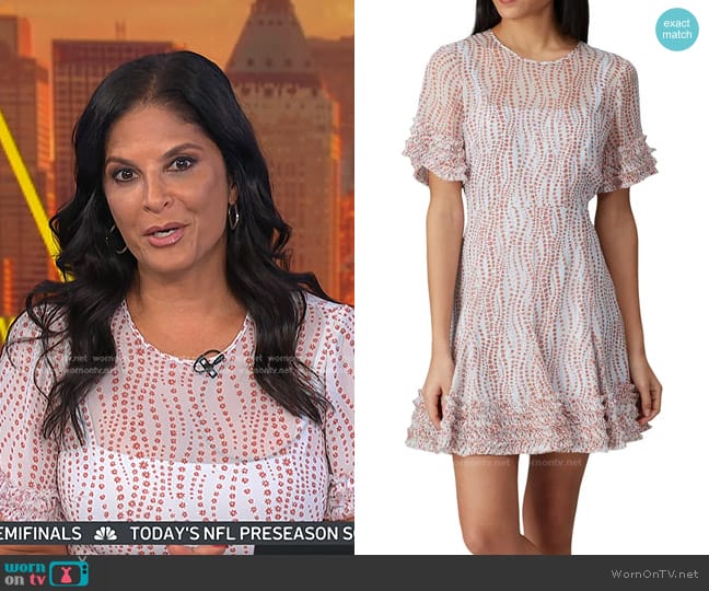 Cinq a Sept Soft Ashton Dress worn by Darlene Rodriguez on Today