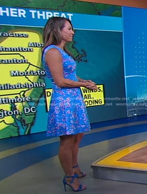 Ginger's blue heel sandals on Good Morning America