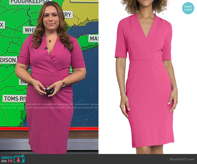 Maggy London Ensley Dress in Energy pink worn by Violeta Yas on NBC News Daily