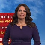 Maria’s purple half-zip sheath dress on Today