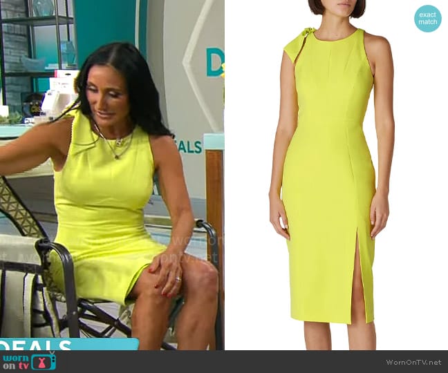 Milly Cady Caedyn Dress worn by Elizabeth Werner on CBS Mornings