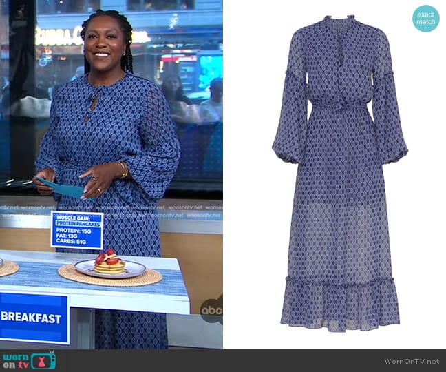 Misa Los Angeles Amata Maxi Dress worn by Maya Feller on Good Morning America