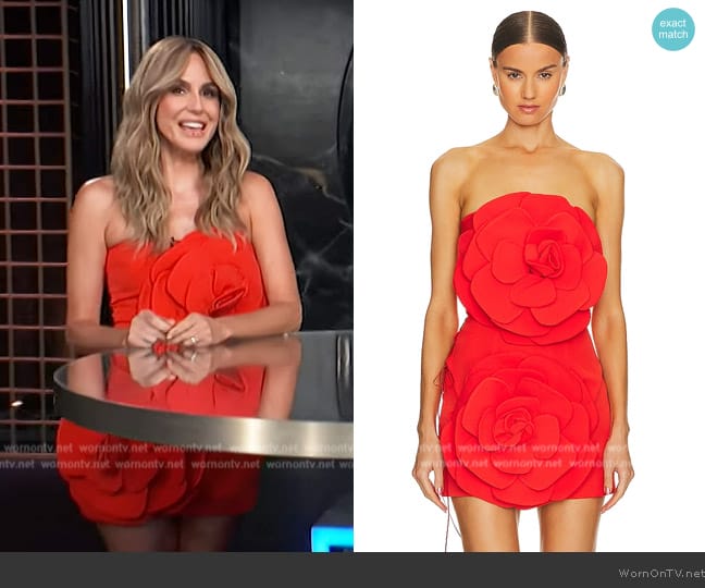 Miscreants Rose Dress With Gloves worn by Keltie Knight on E! News