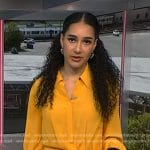 Morgan’s yellow pleated shirtdress on NBC News Daily