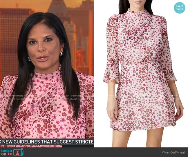 Rachel Zoe Floral Calvin Dress worn by Darlene Rodriguez on Today