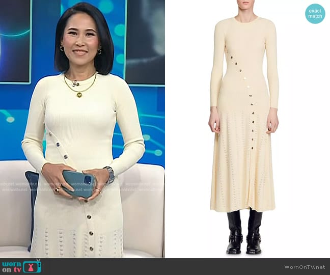 Sandro Jared Button Detail Midi Dress worn by Vicky Nguyen on Today