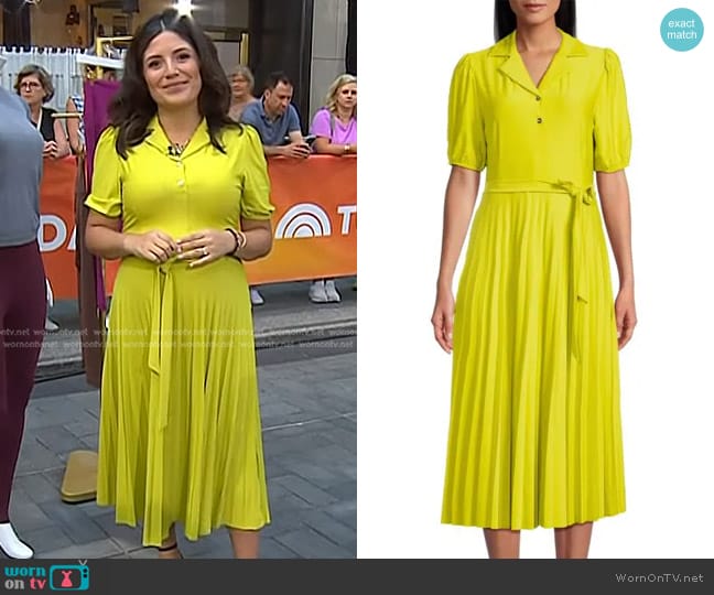 Sharagano Accordion Pleat Belted Midi Dress in Citrine worn by Adrianna Barrionuevo Brach on Today