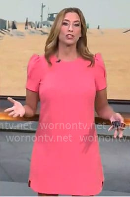 Stephanie Abrams's pink short sleeved shift dress on CBS Mornings