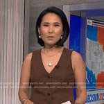 Vicky’s brown vest on NBC News Daily