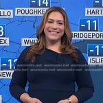 Violeta’s navy asymmetric neck flare dress on NBC News Daily