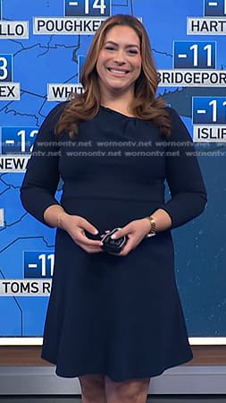 Violeta's navy asymmetric neck flare dress on NBC News Daily