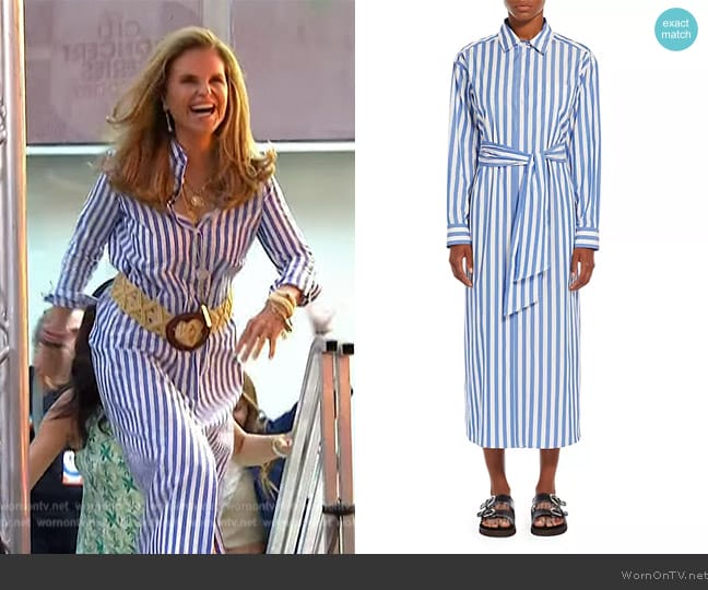 Weekend Max Mara Falasco Striped Cotton Shirtdress worn by Maria Shriver on Today