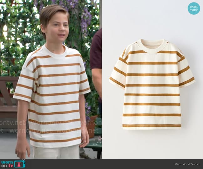 Zara Striped Heavy Cotton Label T-shirt worn by Connor Newman (Judah Mackey) on The Young and the Restless