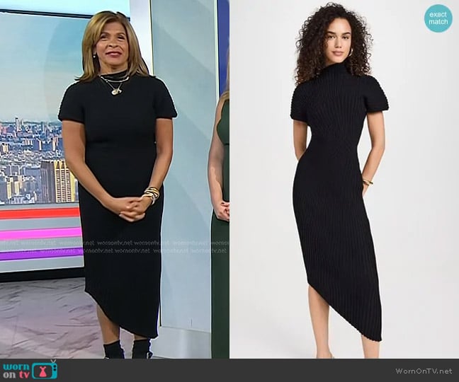 Cult Gaia Chrysta Knit Dress worn by Hoda Kotb on Today