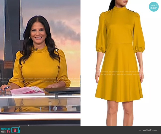 Nanette Lepore Solid Puff Sleeve A-Line Dress worn by Darlene Rodriguez on Today