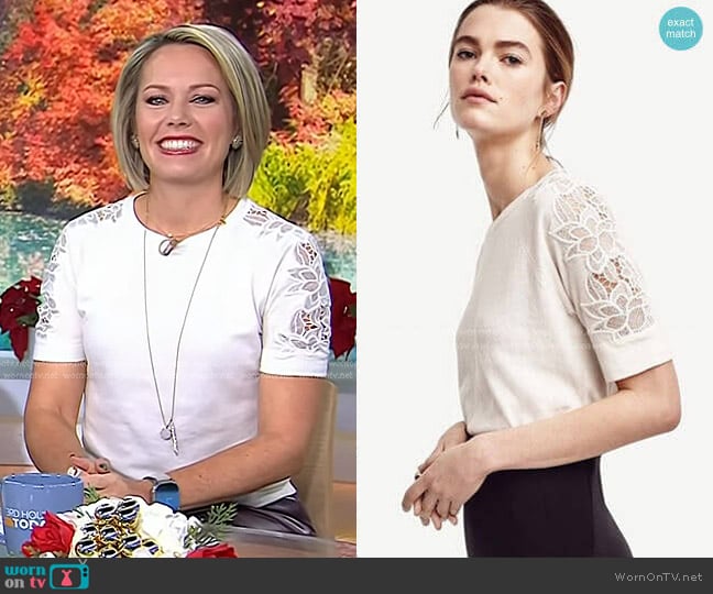 Lace Sleeve Sweater Tee by Ann Taylor worn by Dylan Dreyer on Today